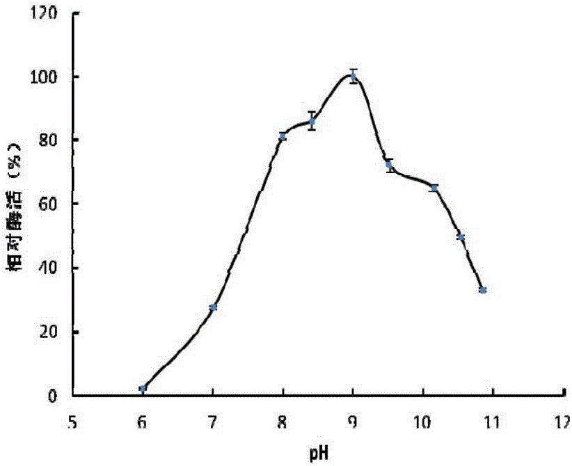 Urate oxidase gene of bacillus subtilis BS04 and application thereof