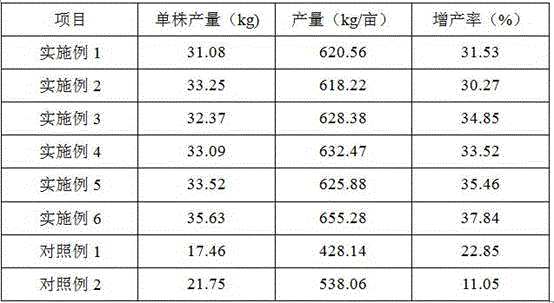 Growth promotion fertilizer of longan and preparation method thereof