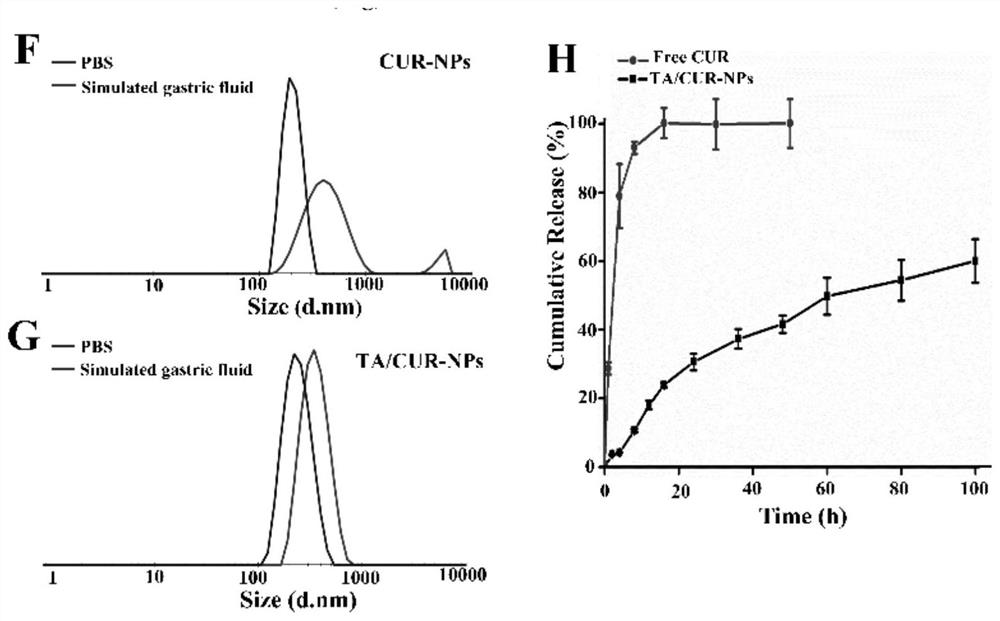 Tannic acid curcumin nanoparticles and preparation method and use thereof