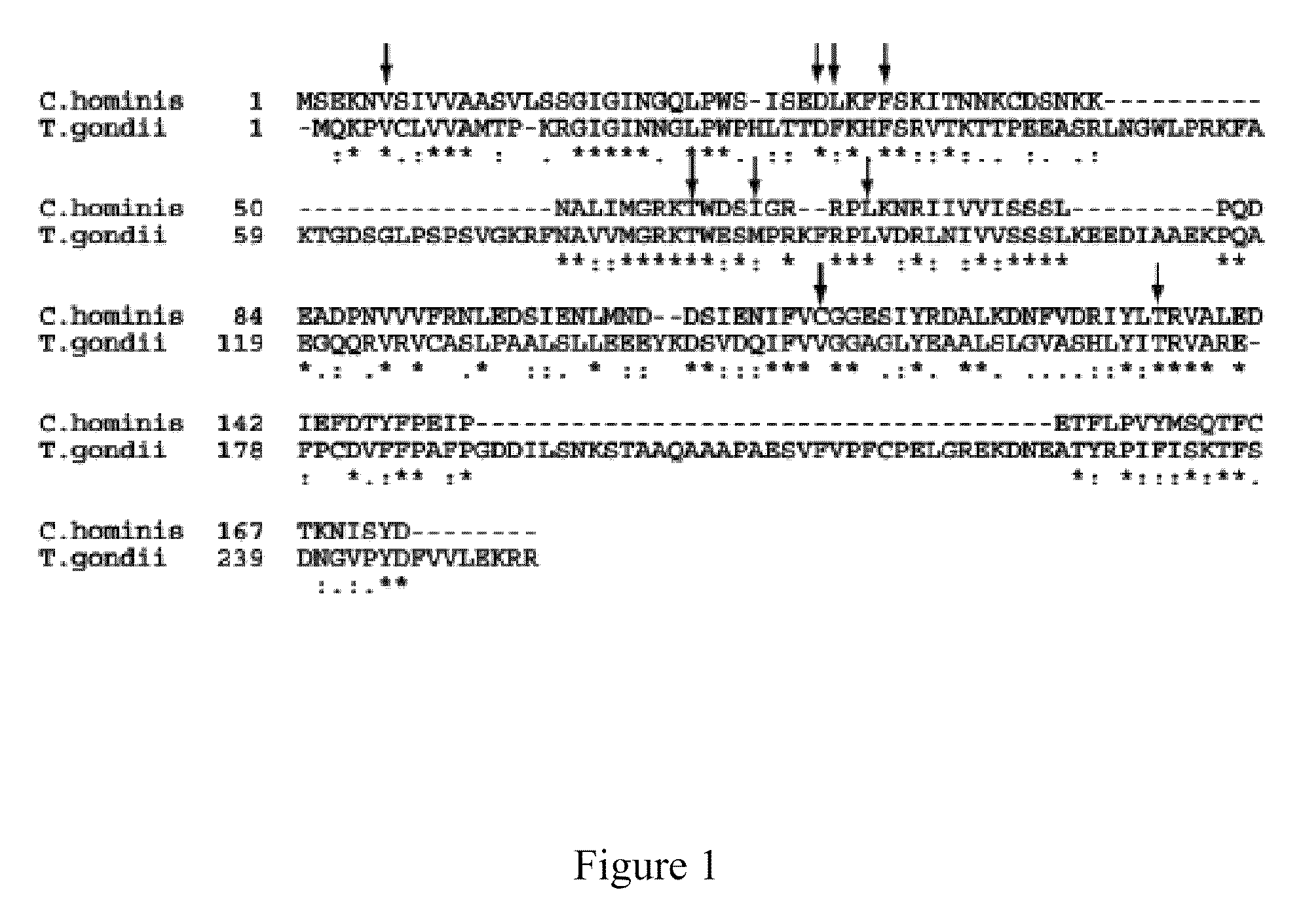 Inhibitors of dihydrofolate reductase with antibacterial antiprotozoal, antifungal and anticancer properties