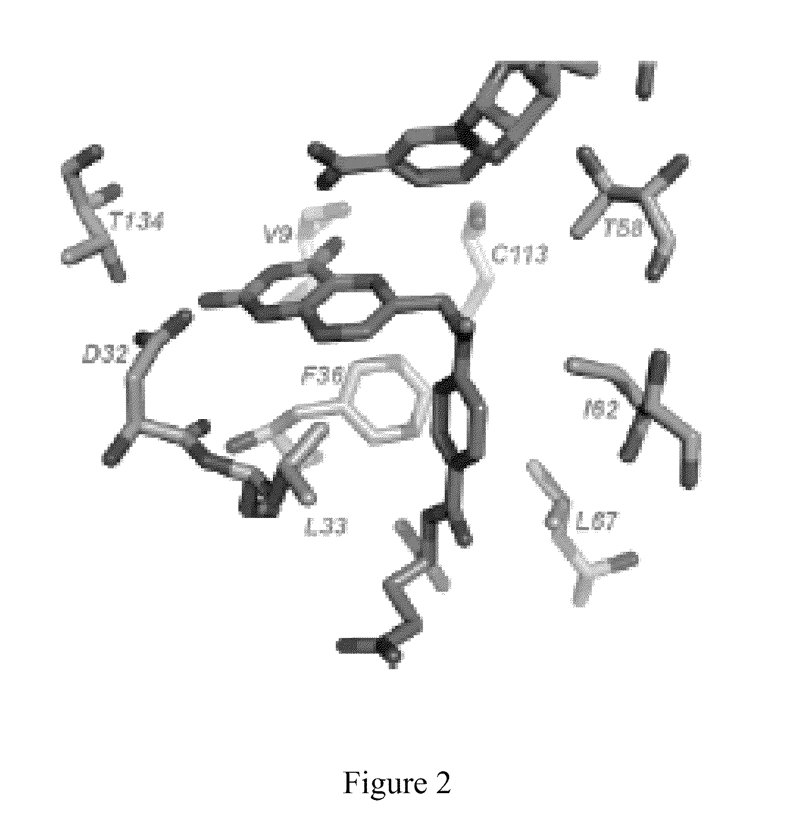 Inhibitors of dihydrofolate reductase with antibacterial antiprotozoal, antifungal and anticancer properties