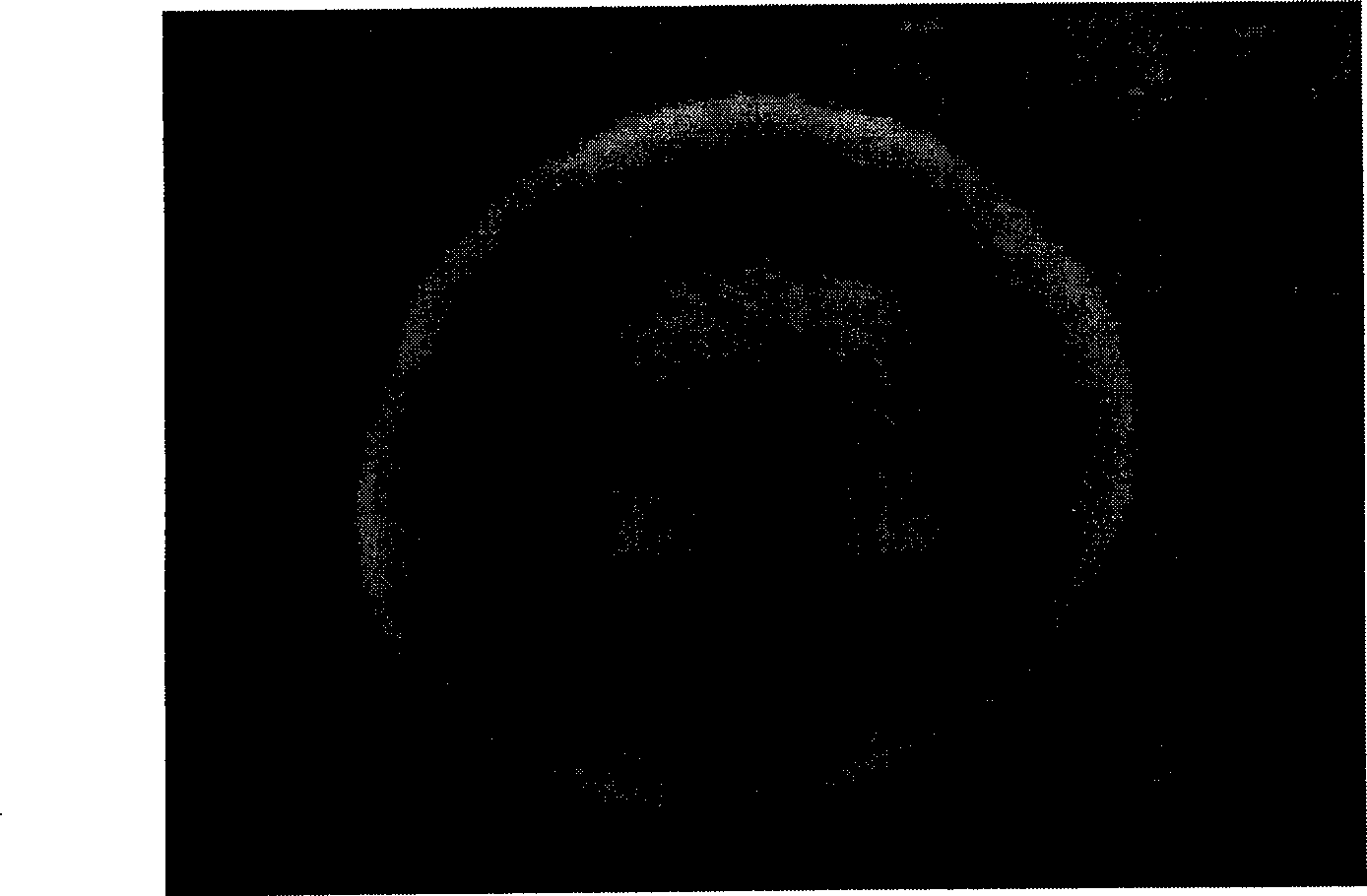 Embellisia oxytropis for synthesizing spherosin, preparation and use thereof