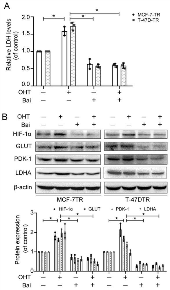 Drug-resistant breast cancer treatment drug and screening method thereof