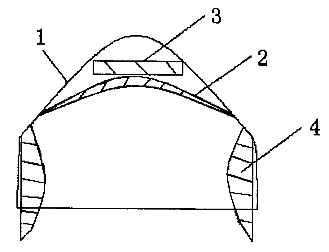 Cranial nerve disease treating device