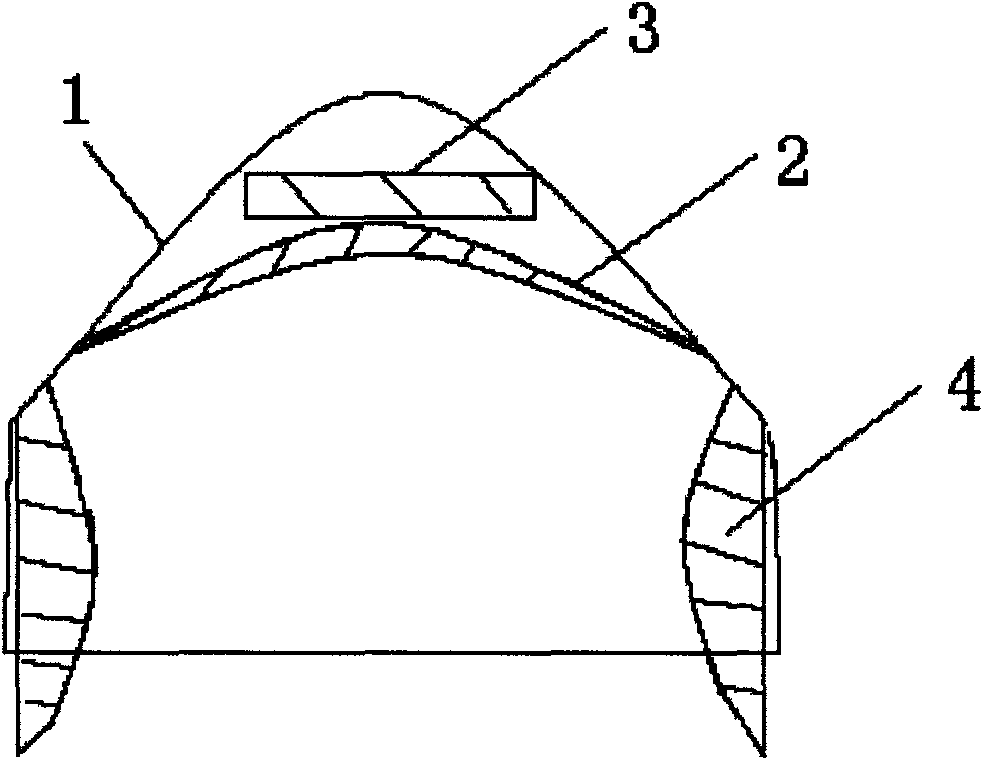 Cranial nerve disease treating device