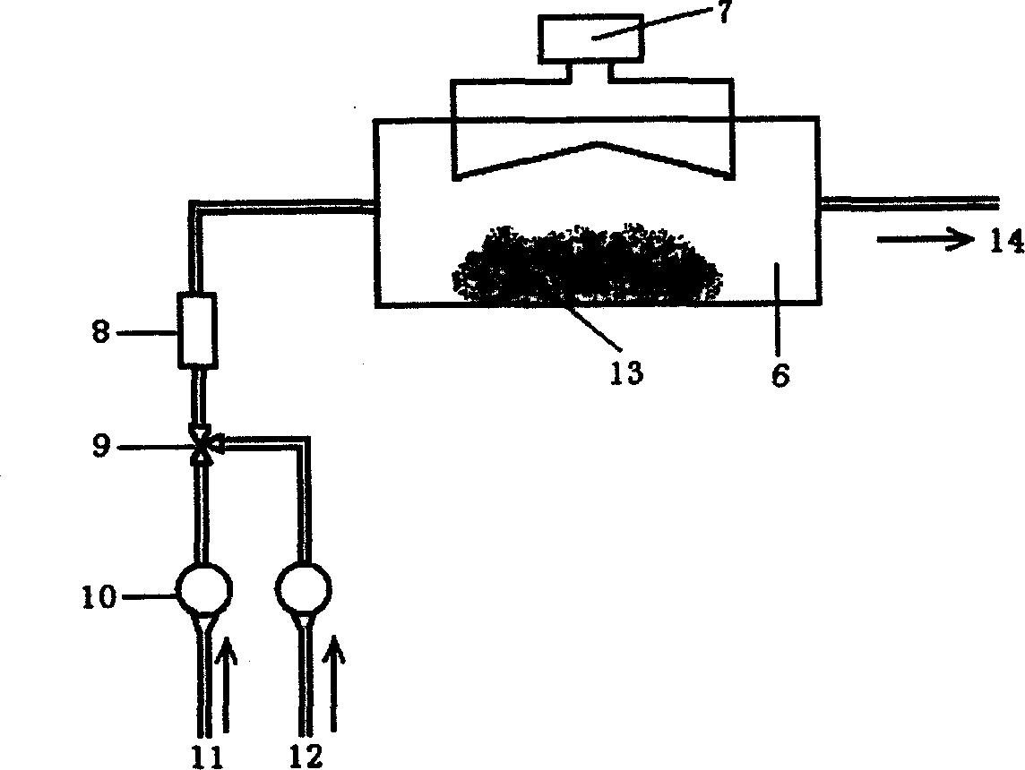 Preparing multipurpous carbon with regular constructure and high ratio surface area by mould board carbonizing process