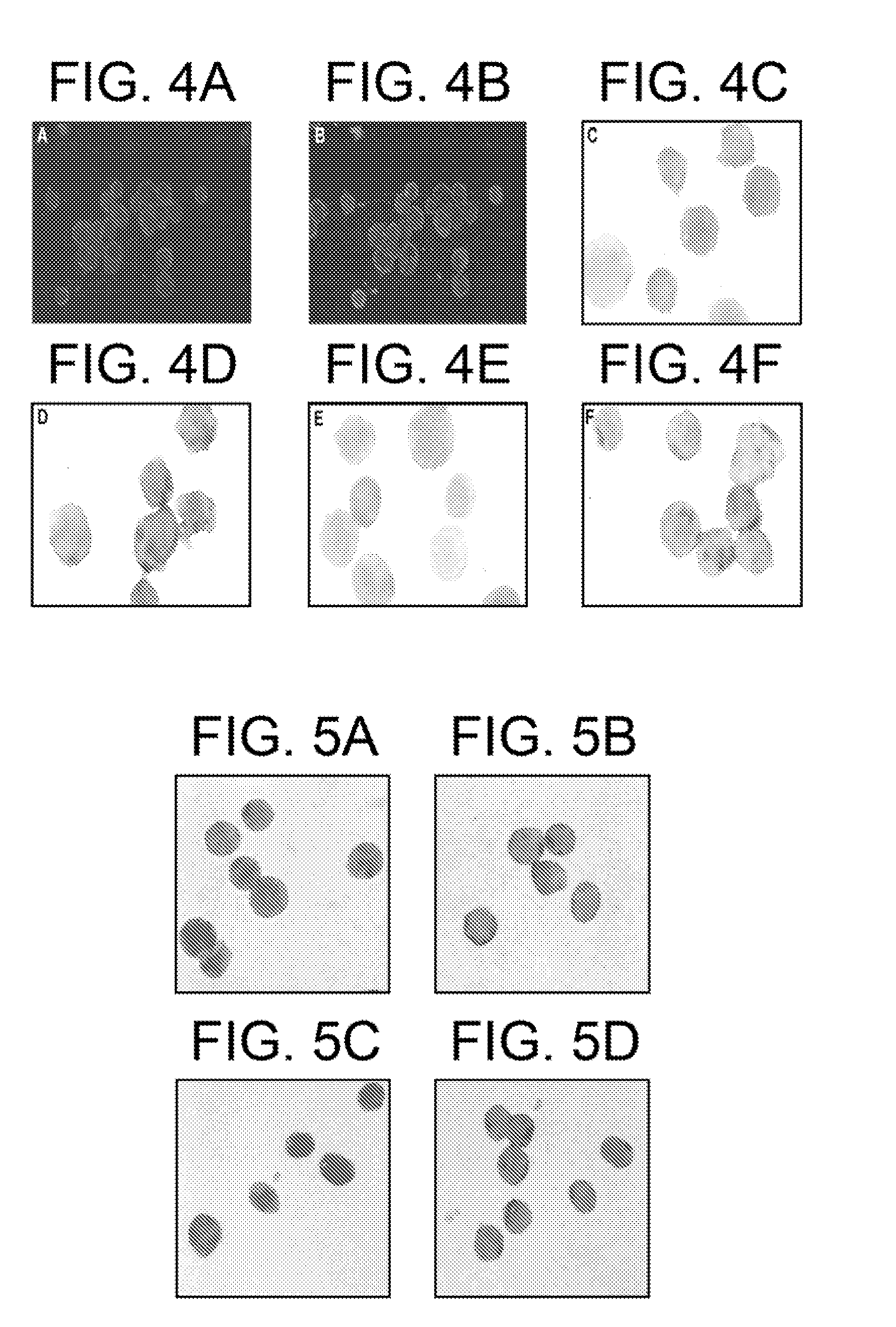 Method of inhibiting infection by HCV, other flaviviridae viruses, and any other virus that complexes to low density lipoprotein or to very low density lipoprotein in blood by preventing viral entry into a cell