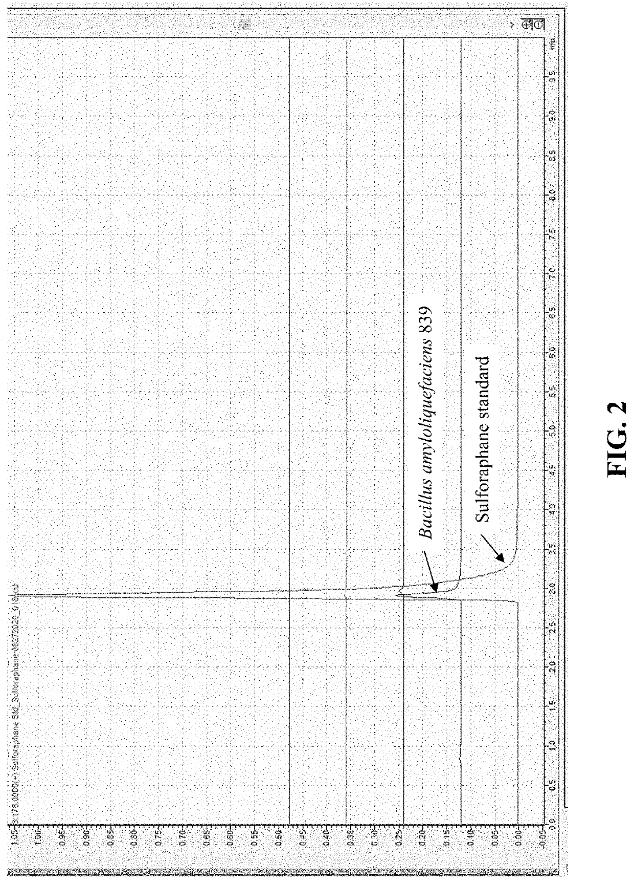 Compositions and methods to increase production of isothiocyanates