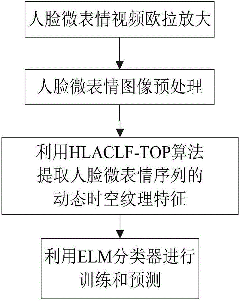 Method for recognizing human face micro-expressions in video sequence