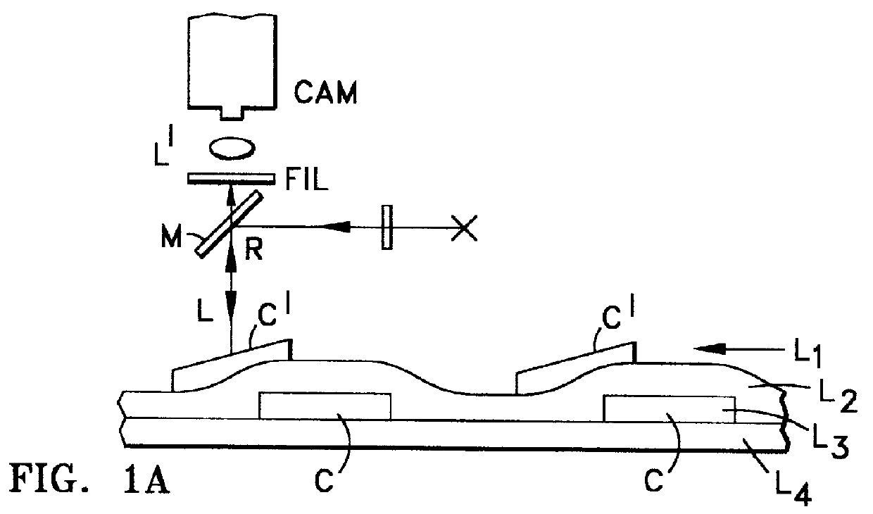 Method of optically inspecting multi-layered electronic parts and the like with fluorescent scattering top layer discrimination and apparatus therefor