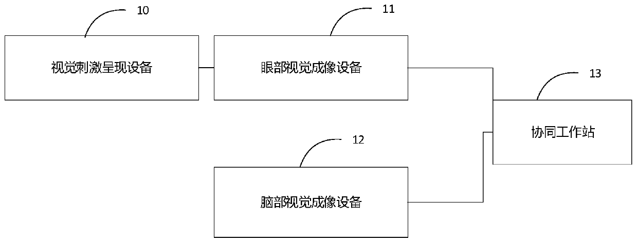 Integrated eye and brain visual function imaging system