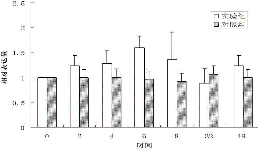 Eriocheir sinensis HSP90 gene clone and application thereof