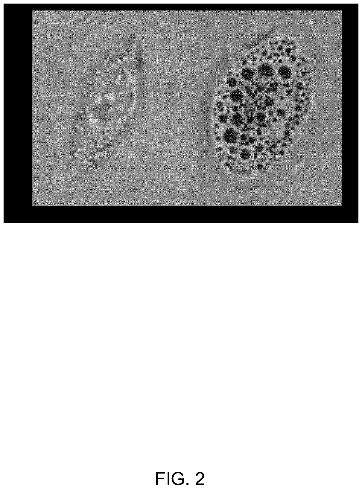 Anti-viral compositions containing pikfyve inhibitors and use thereof