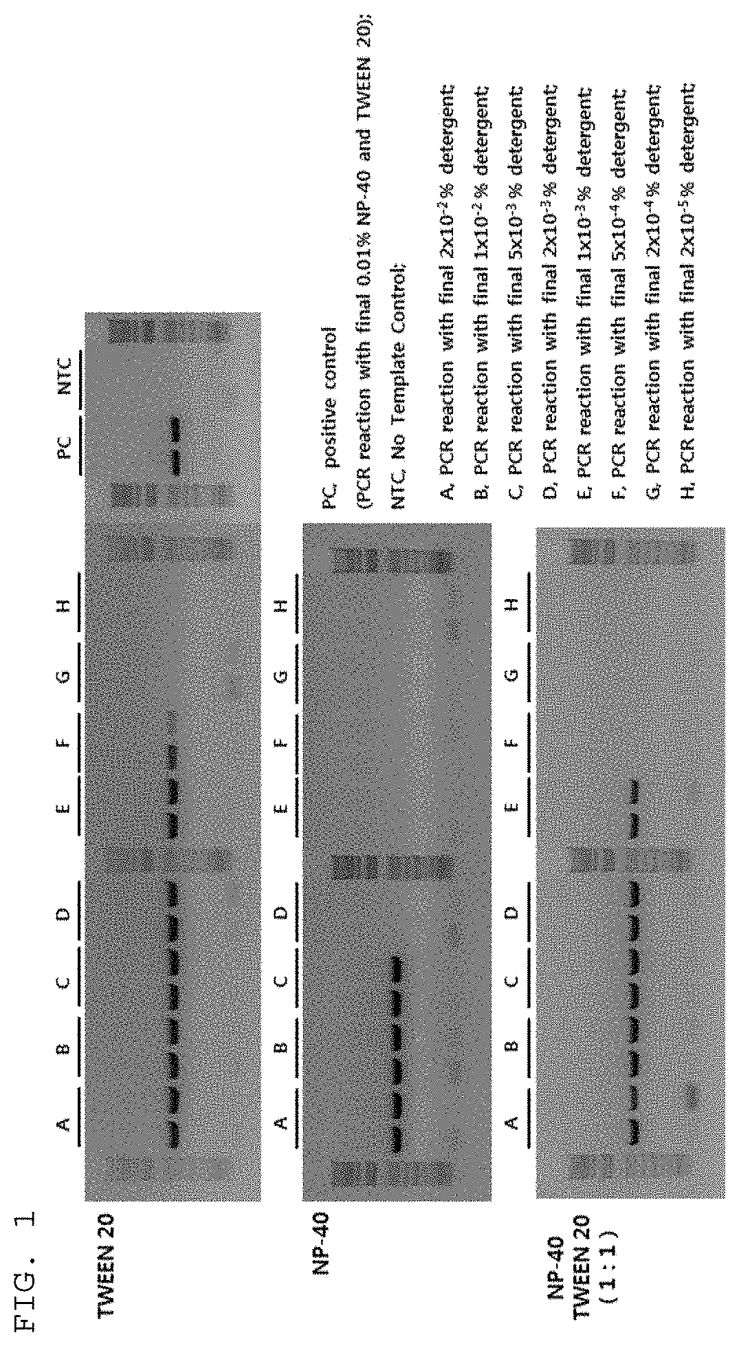 Composition for polymerase reaction