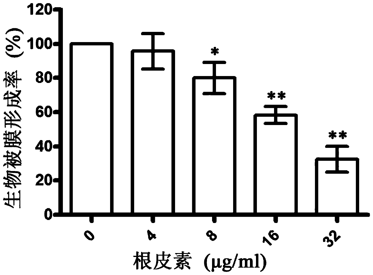 Application of Phloretin in Preparation of Medicine for Treating Chicken Necrotic Enteritis