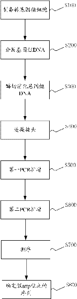 Swine pseudo attp site and use of swine pseudo attp site