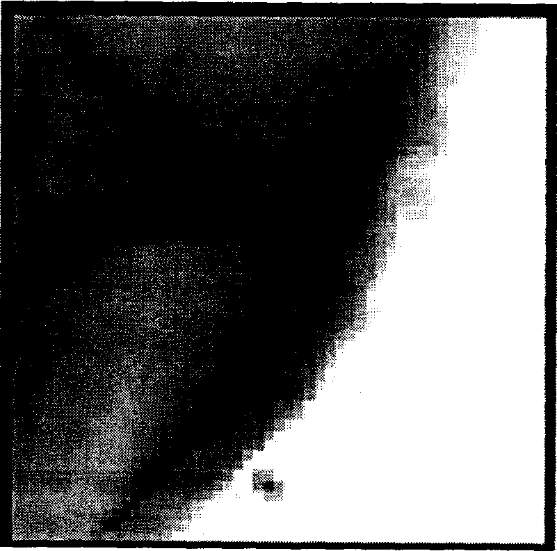 Border matting by dynamic programming