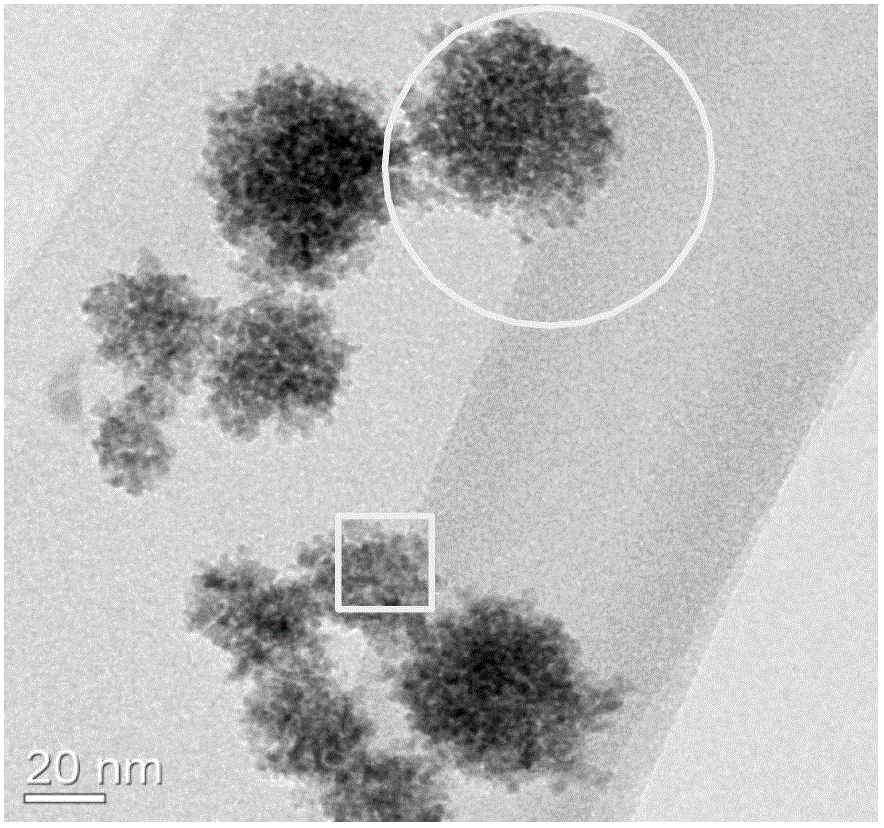 Cobaltosic oxide quantum dot and preparation method thereof