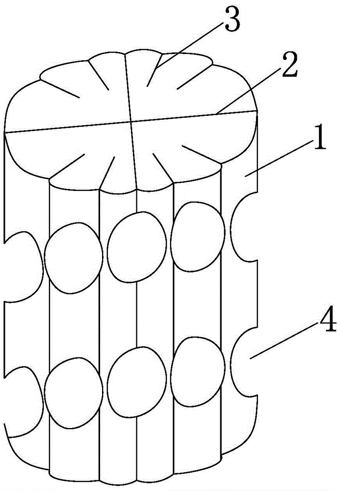 A kind of fluidized bed biofilm filler, preparation method and filler structure