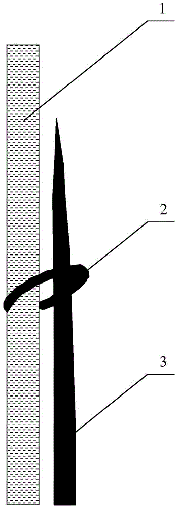 Mushroom-shaped wolfberry tree and pruning method thereof