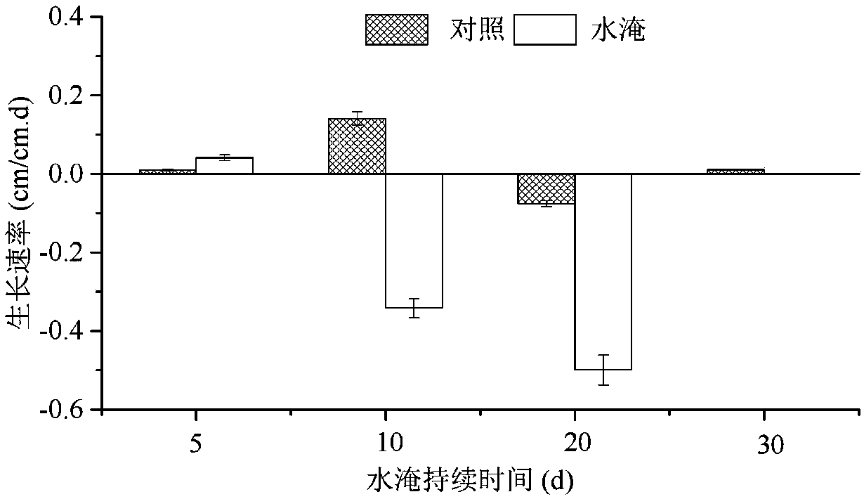 A method of repairing the water-fluctuating zone of a reservoir by using bermudagrass