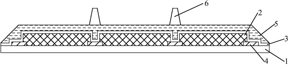 Colored-film substrate, manufacturing method of colored-film substrate and display device