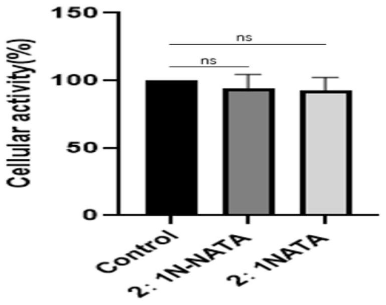 Natamycin-loaded alginic acid gel medicine membrane and a preparation method thereof