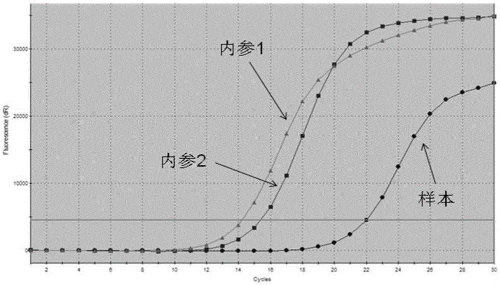 Primer combination for detecting human EGFR, KRAS and BRAF gene mutation and kit thereof