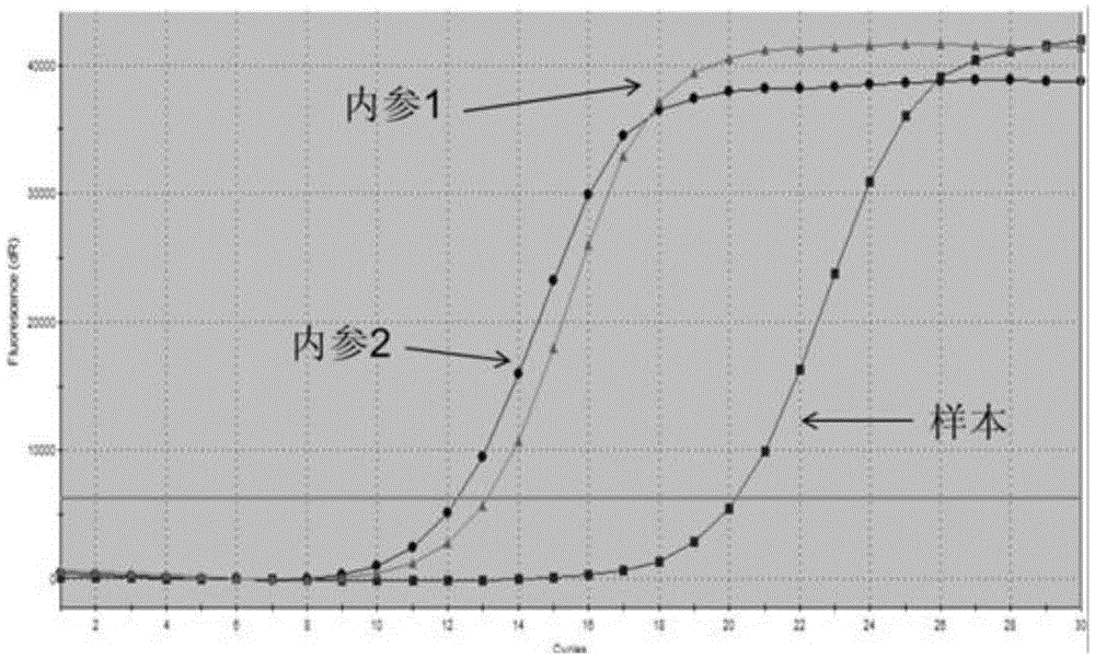 Primer combination for detecting human EGFR, KRAS and BRAF gene mutation and kit thereof