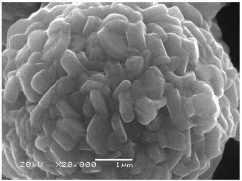 Ternary cathode material and preparation method of the material and its precursor