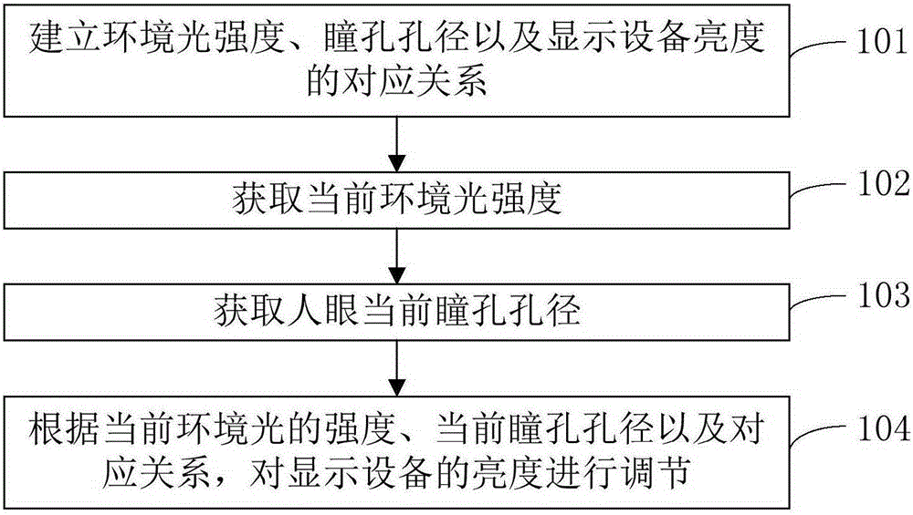 Display equipment and brightness adjusting method thereof