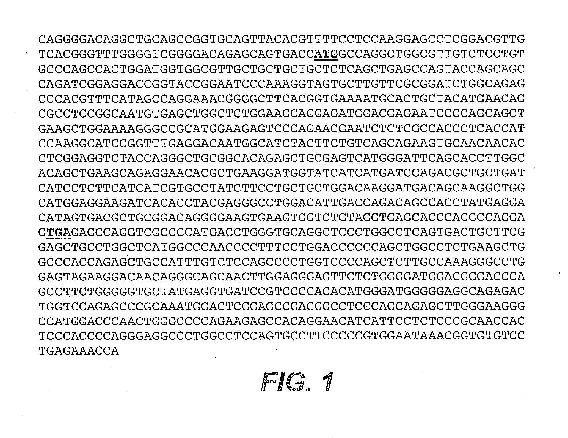 Anti-cd79b antibodies and immunoconjugates and methods of use