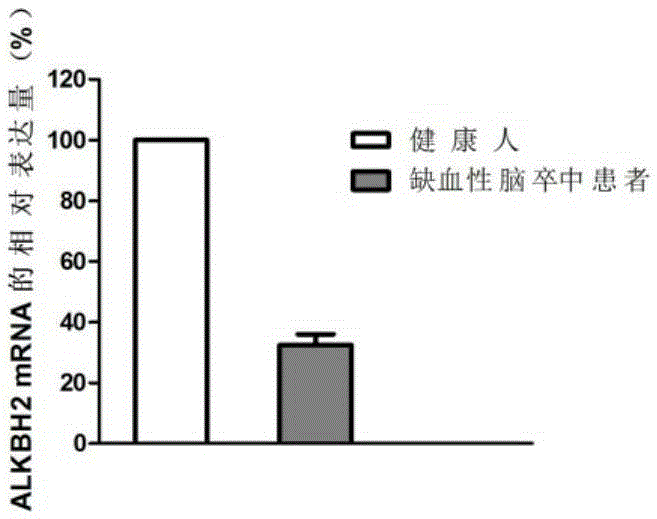 Application of ALKBH2 gene to diagnosis of cerebral ischemic stroke