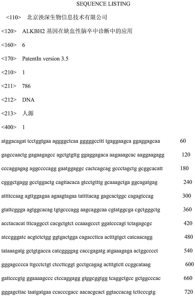 Application of ALKBH2 gene to diagnosis of cerebral ischemic stroke