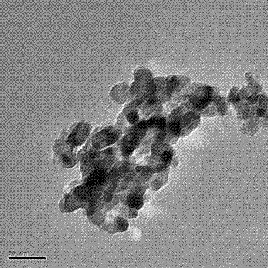 Method for finely synthesizing ilmenite structure ZnTiO3 nanometer powder by using water-soluble sol-gel process