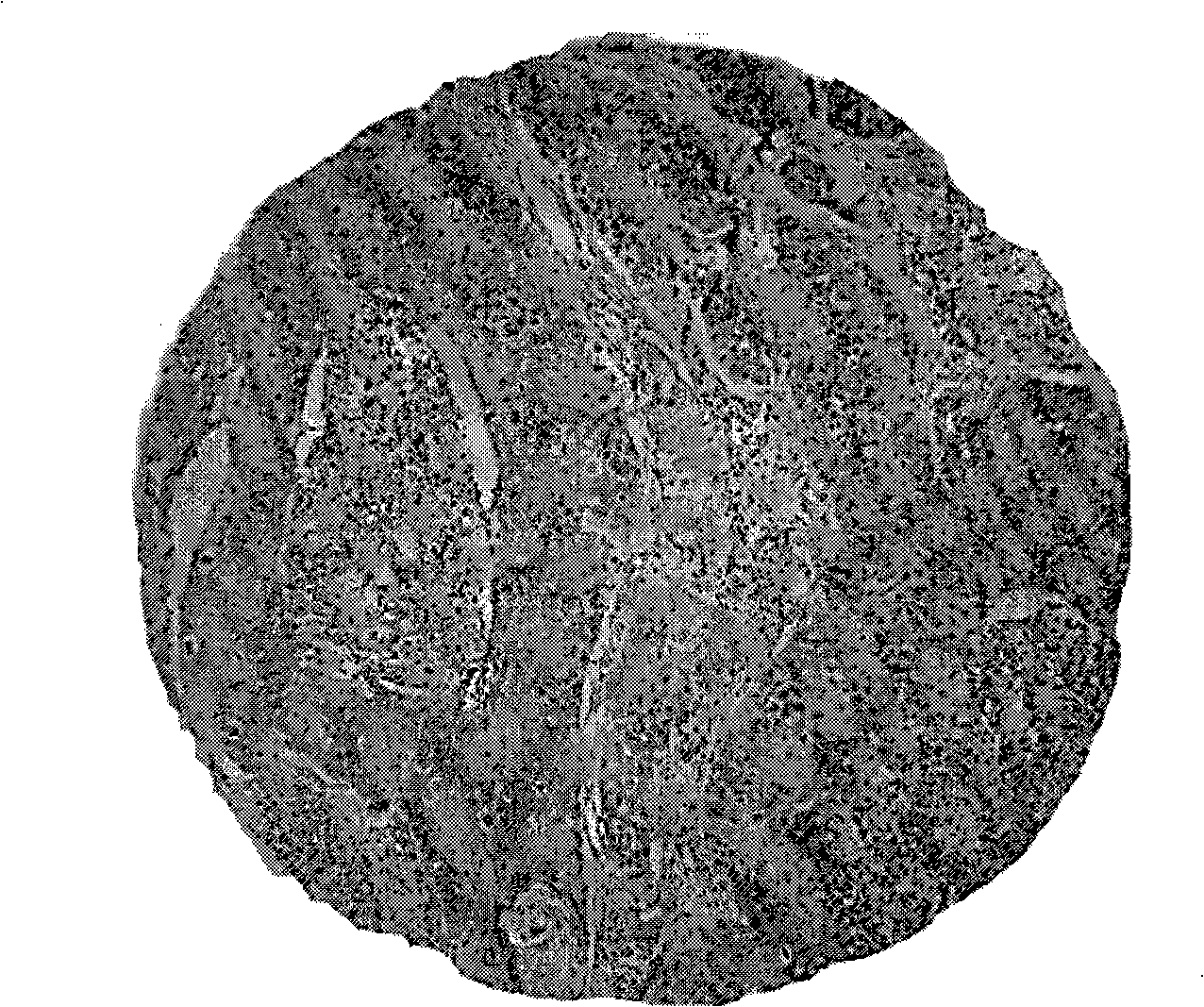 Method for detecting identical antigen expression on identical sample