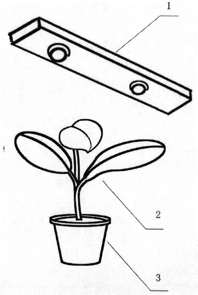 Watermelon seedling cultivation technology of light emitting diode (LED) plant lamp based on conditions without natural light