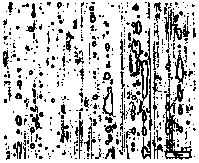 Film laminate metal plate having exceptional retort adhesion, and method for manufacturing same