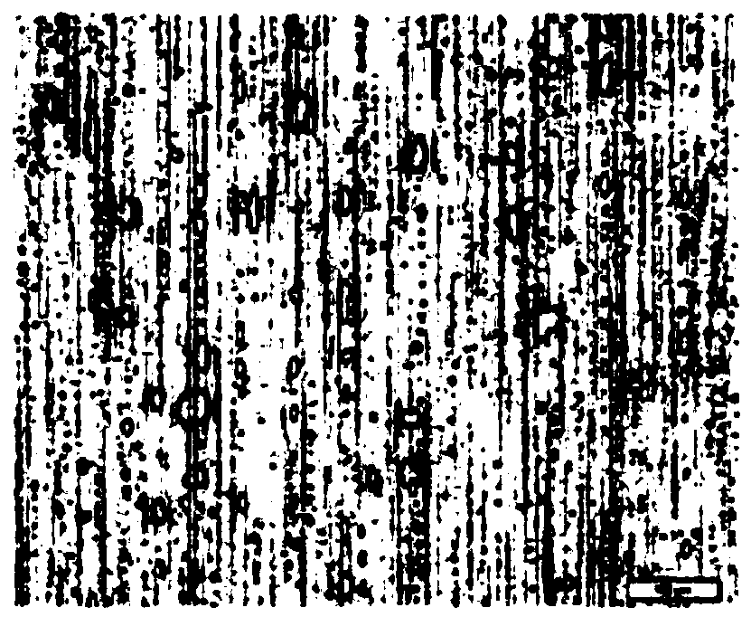 Film laminate metal plate having exceptional retort adhesion, and method for manufacturing same