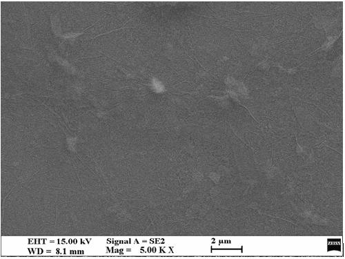 Lignin functionalized modified graphene and preparation method thereof