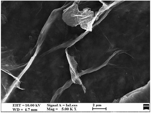 Lignin functionalized modified graphene and preparation method thereof