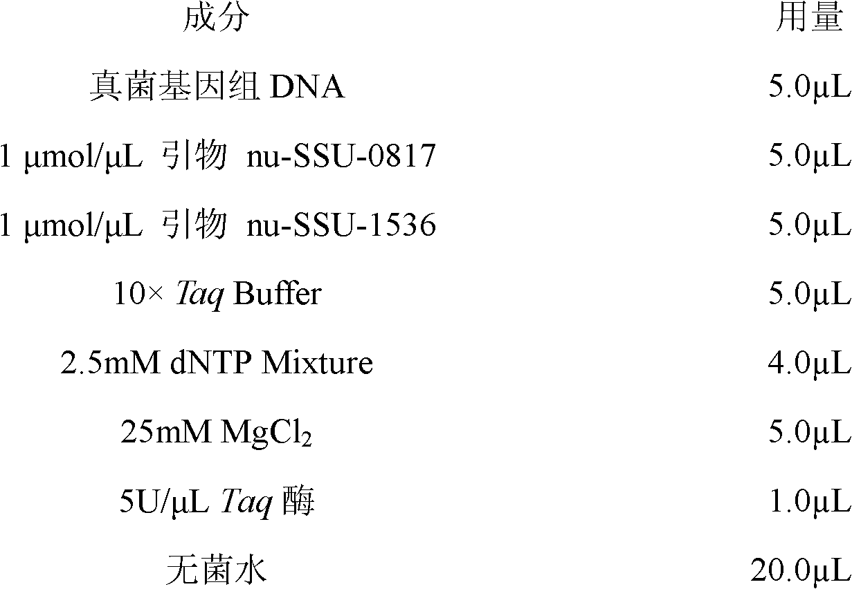 Method for detecting fungal diversity in traditional soybean paste fermentation process