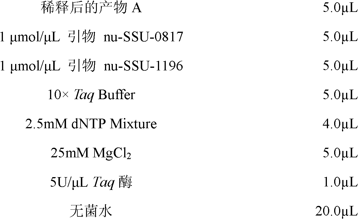 Method for detecting fungal diversity in traditional soybean paste fermentation process