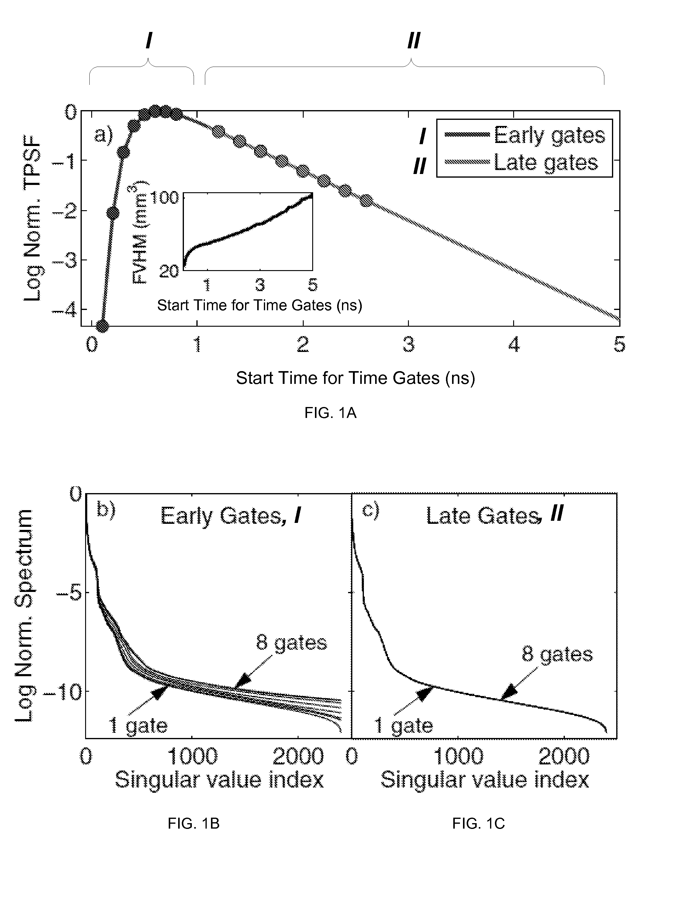 System and method for tomographic lifetime multiplexing