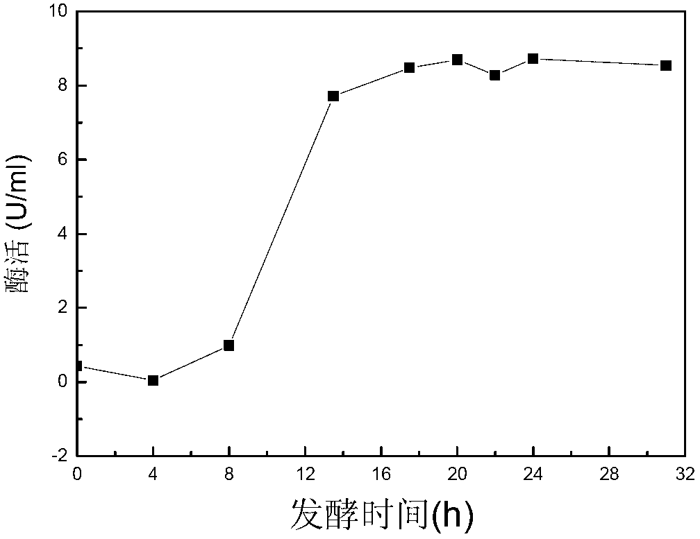 Method for preparing galactooligosaccharide by use of permeable cell beta-galactosidase