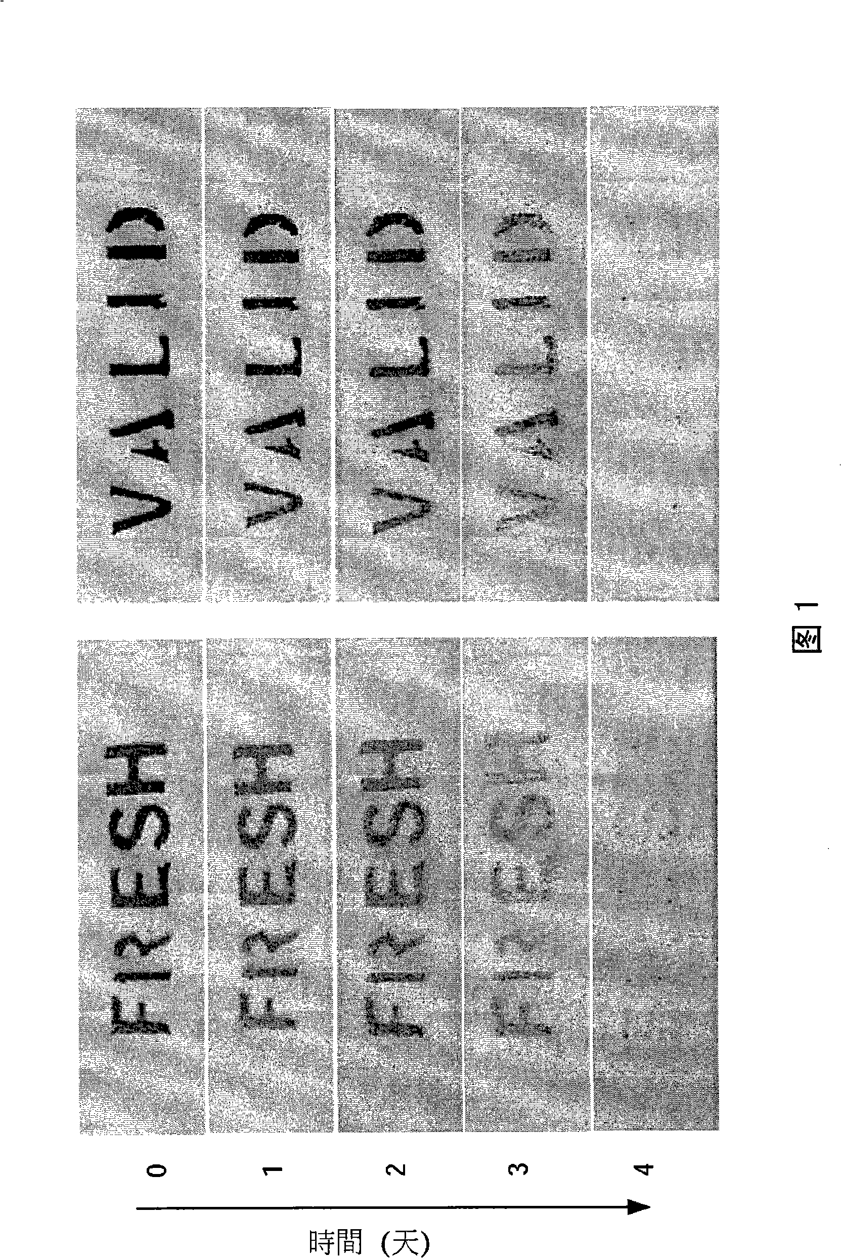 Time process indicating device and its forming method