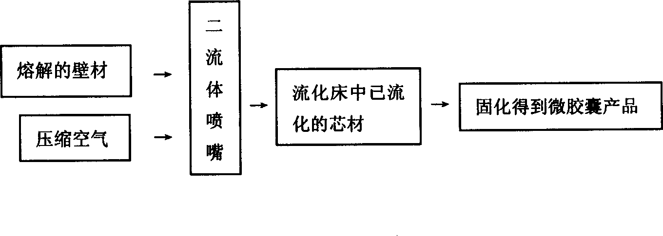 High-hydroscopicity polymer resin microcapsule and its production process