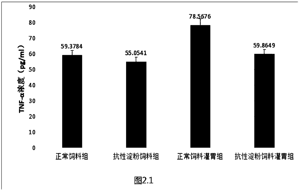 Mouse feed for preventing and controlling mouse salmonella typhi infection as well as preparation method and application thereof