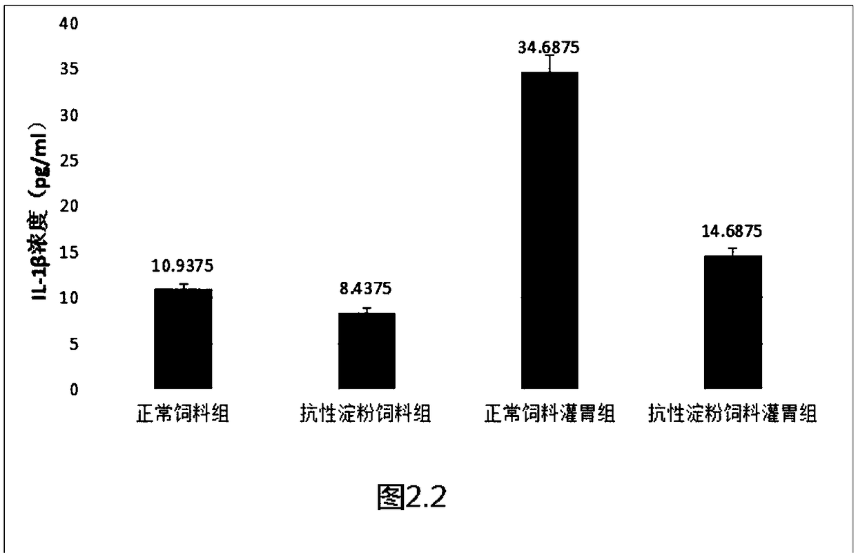 Mouse feed for preventing and controlling mouse salmonella typhi infection as well as preparation method and application thereof