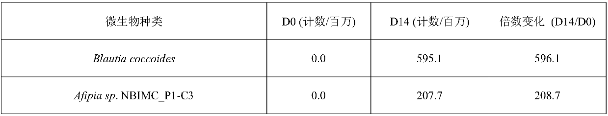 Application of polygonatum sibiricum in regulation of intestinal microorganisms